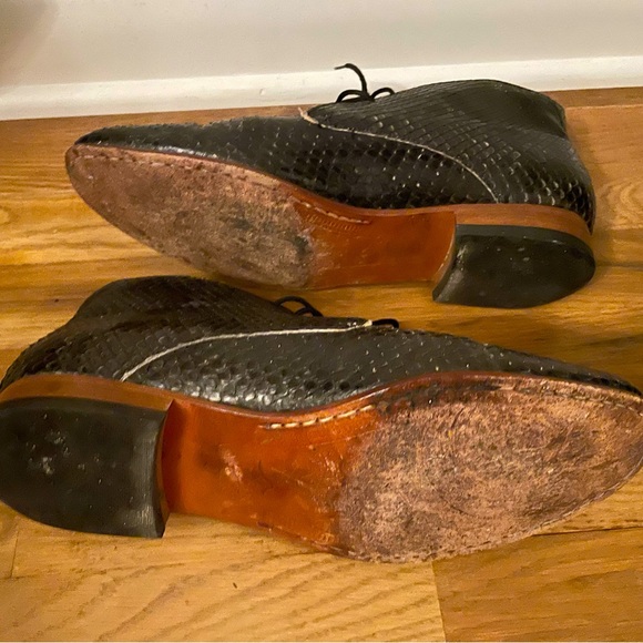 Dieppa Restrepo Python Lupe - Picture 4 of 7